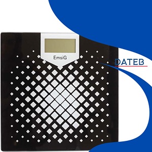 ترازوی دیجیتال Emsig GW-30-Z4