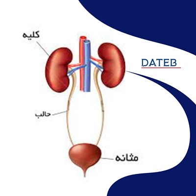 افتادگی مثانه