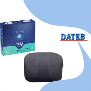 پشتی طبی خودرویی سفیر Barad LS4